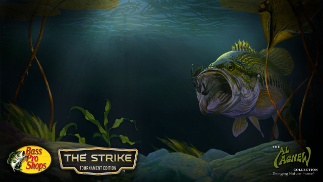 Fish swimming water plants rocks free wallpaper for desktop - medium preview image