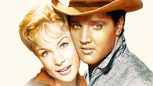 Man woman hats posing picture free wallpaper for desktop - medium preview image