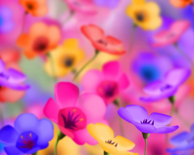 Flowers grass blurry background bokeh free wallpaper for desktop - medium preview image
