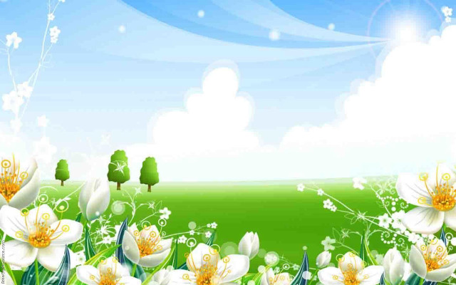 Flower field white flowers green free wallpaper for desktop - medium preview image