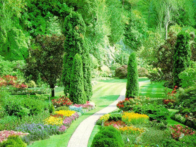 Garden path flowers trees lining free wallpaper for desktop - medium preview image