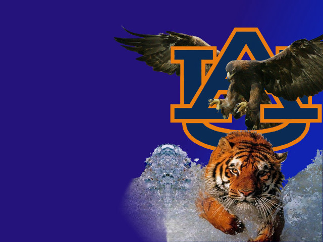 Tiger bird letter a blue free wallpaper for desktop - medium preview image