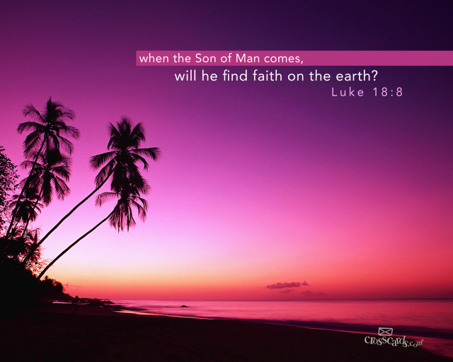 Sunset palm trees bible verse free wallpaper for desktop - medium preview image