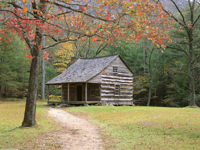 Log cabin woods dirt path free wallpaper for desktop - medium preview image