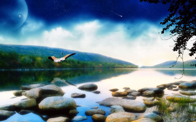 Bird flying lake rocks trees free wallpaper for desktop - medium preview image