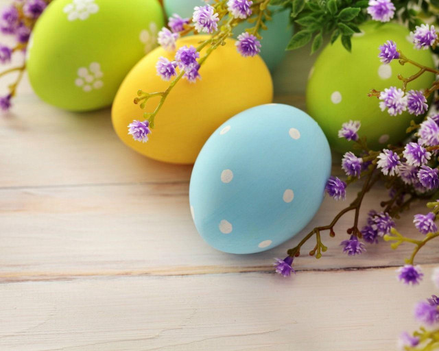 Colorful eggs table flowers plant free wallpaper for desktop - medium preview image