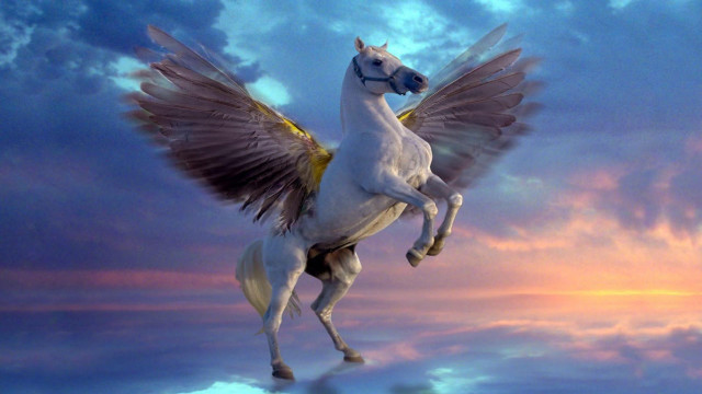 White horse winged flying sunset free wallpaper for desktop - medium preview image