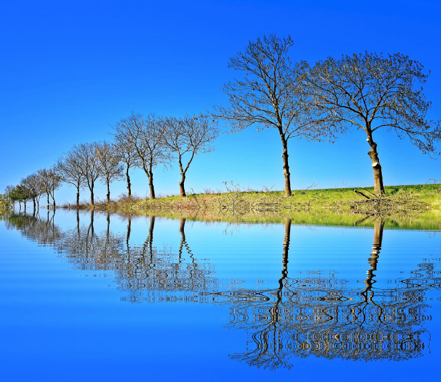 Trees hill water blue sky free wallpaper for desktop - medium preview image