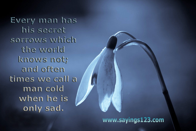 White flower quote every man free wallpaper for desktop - medium preview image