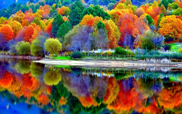 Lake trees colorful leaves hillside free wallpaper for desktop - medium preview image