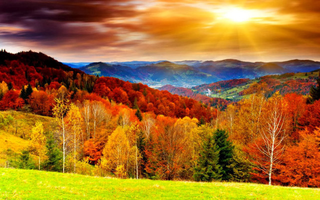 Beautiful mountain sunset colorful trees free wallpaper for desktop - medium preview image
