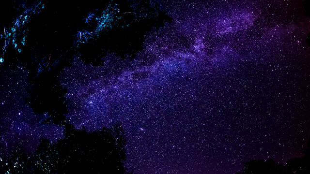 Night sky purple blue trees free wallpaper for desktop - medium preview image