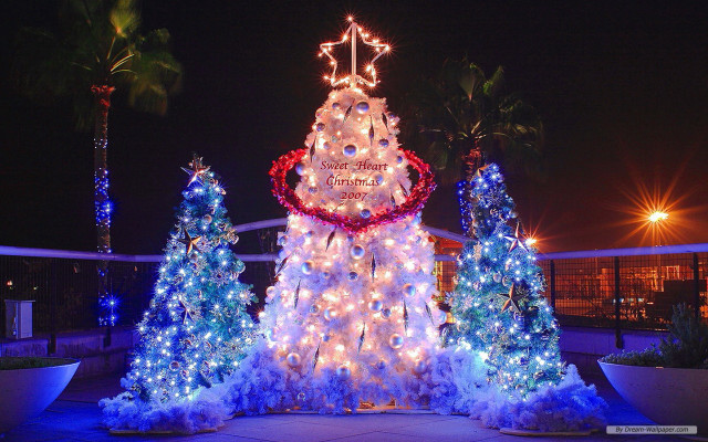 Christmas tree lights decorations night free wallpaper for desktop - medium preview image