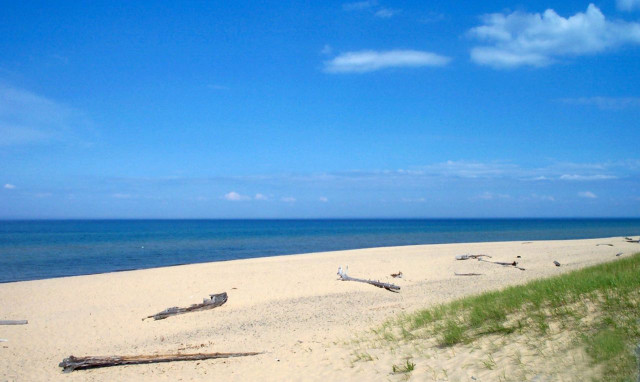 Beach trees water clouds background free wallpaper for desktop - medium preview image