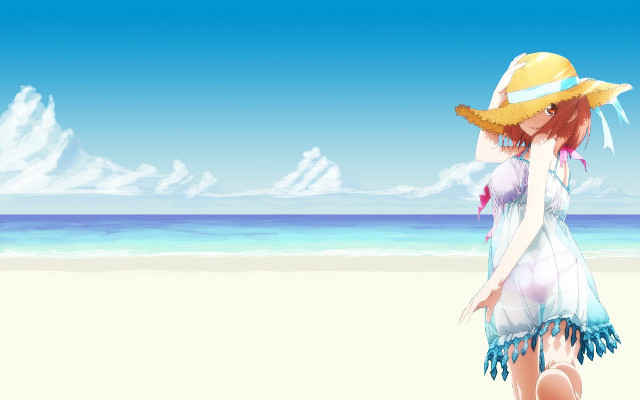Woman hat beach ocean suitcase free wallpaper for desktop - medium preview image