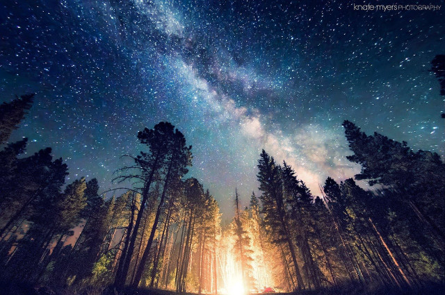 Night sky stars forest trees free wallpaper for desktop - medium preview image