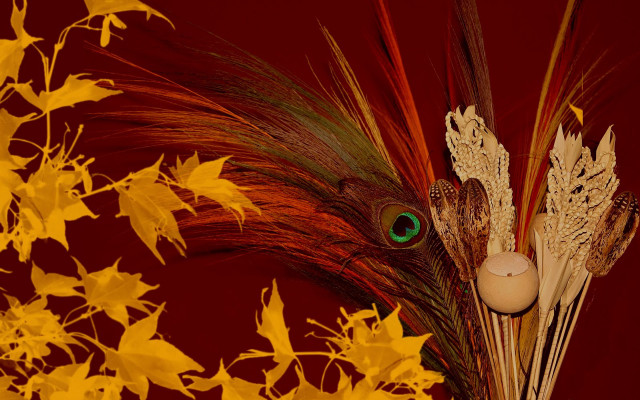 Vase feather green eye yellow free wallpaper for desktop - medium preview image