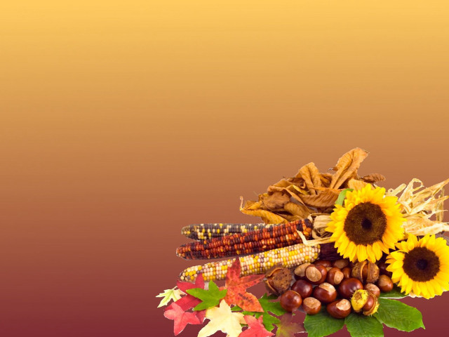 Fall flowers leaves tabletop brown free wallpaper for desktop - medium preview image