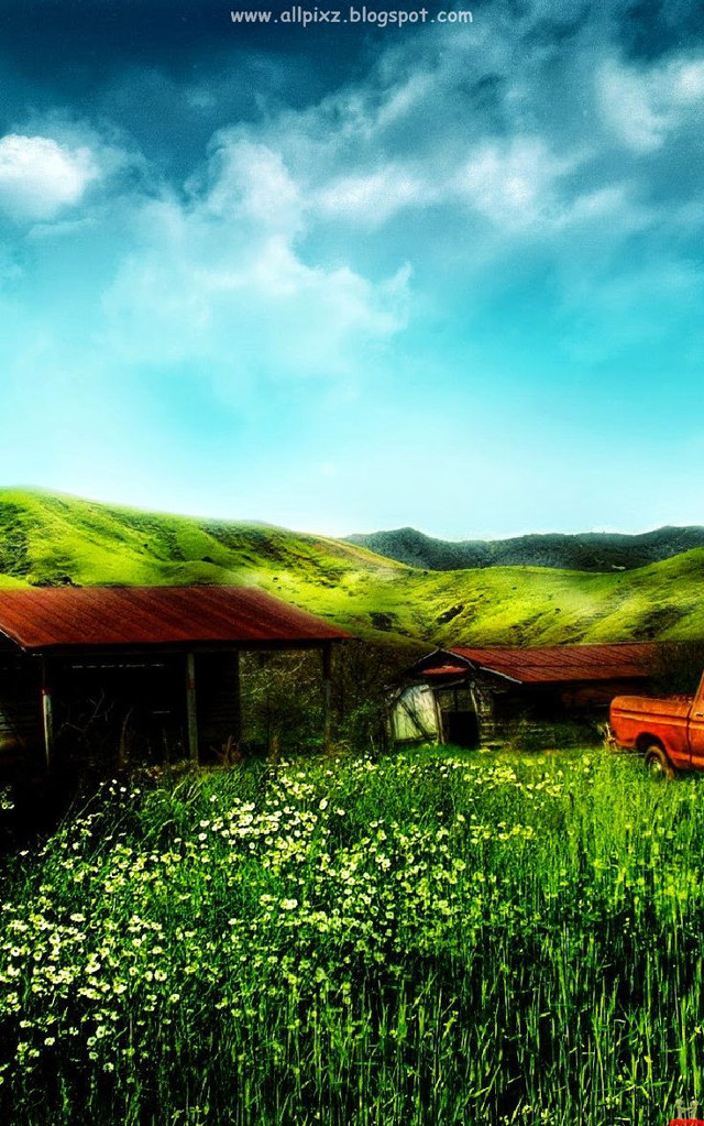Red truck green grass flower free wallpaper for mobile - medium preview image