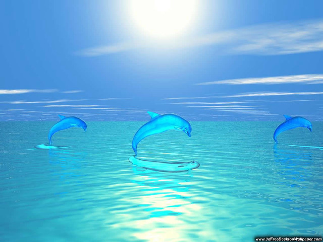 Three dolphins swimming ocean sunshine free wallpaper for desktop - medium preview image