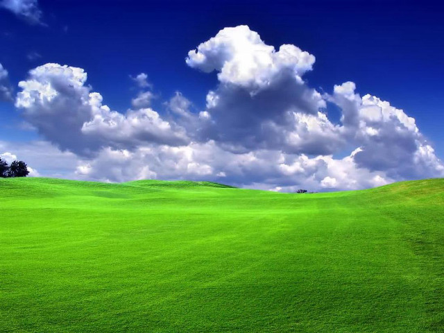 Green field tree blue sky #5 free wallpaper for desktop - medium preview image