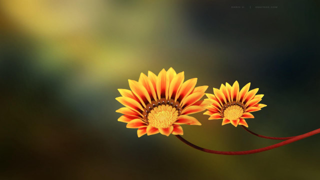 Yellow sunflower red flower macro free wallpaper for desktop - medium preview image
