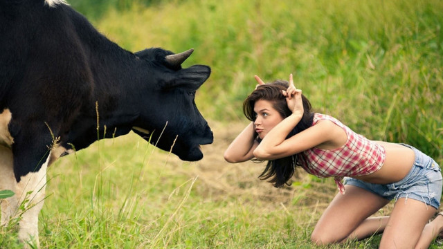 Woman kneeling cow field grass #2 free wallpaper for desktop - medium preview image