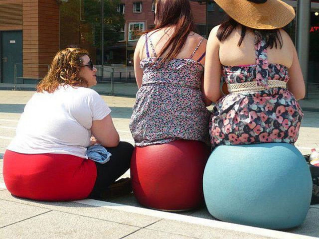 Three women large ball dog free wallpaper for desktop - medium preview image