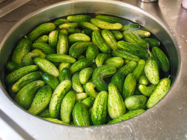 Large metal bowl cucumbers counter free wallpaper for desktop - medium preview image