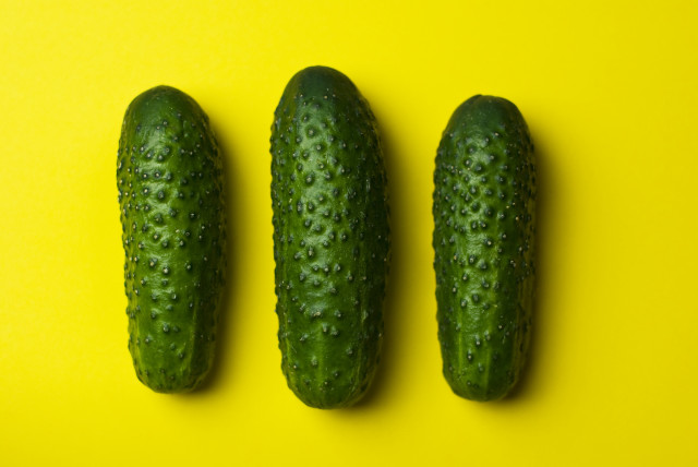 Three cucumbers yellow surface water free wallpaper for desktop - medium preview image
