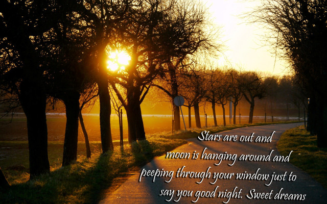 Sunset road trees night sky free wallpaper for desktop - medium preview image