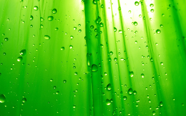 Green water drops curtain bubble free wallpaper for desktop - medium preview image