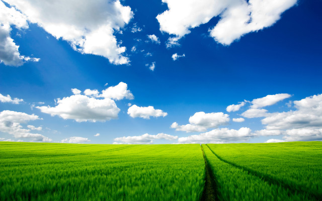 Green field sky clouds background free wallpaper for desktop - medium preview image