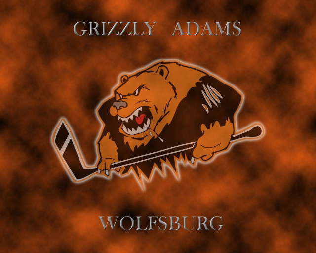 Grizzly logo bear hockey stick free wallpaper for desktop - medium preview image