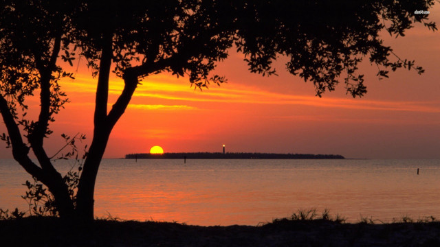 Sunset water tree lighthouse foreground free wallpaper for desktop - medium preview image