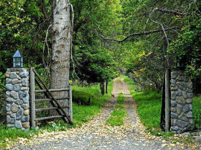 Stone gate open dirt road free wallpaper for desktop - medium preview image
