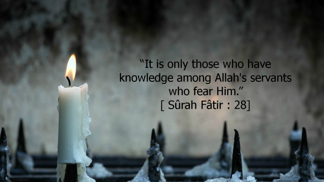 Candle quote snow cones ground free wallpaper for desktop - medium preview image