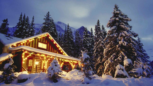 Cabin christmas lights snow trees free wallpaper for desktop - medium preview image