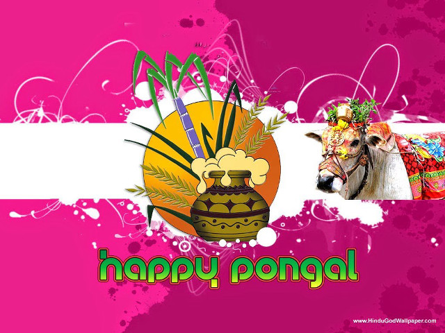 Happy pongal cow vase flowers free wallpaper for desktop - medium preview image