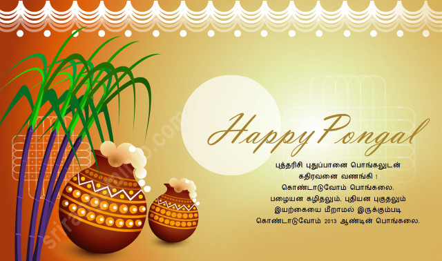 Happy pongal two vases plant free wallpaper for desktop - medium preview image