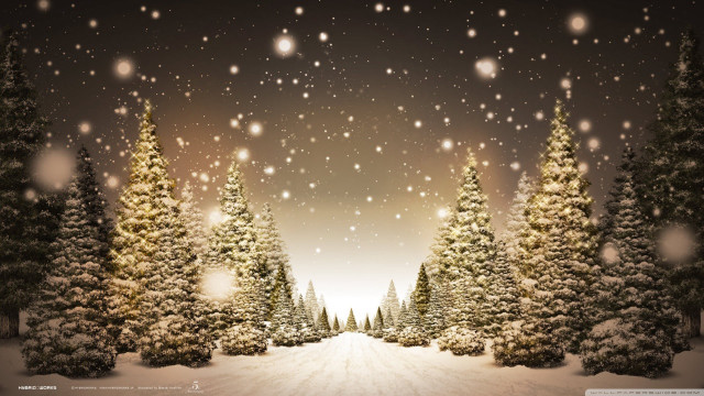 Snowy trees falling snowflakes ground free wallpaper for desktop - medium preview image