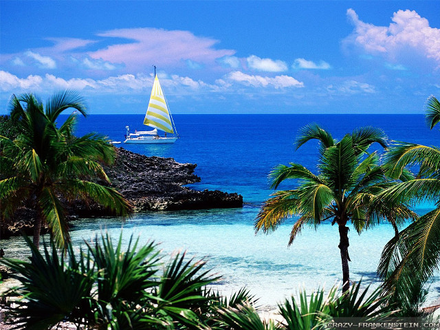 Sailboat ocean palm trees rocky #3 free wallpaper for desktop - medium preview image