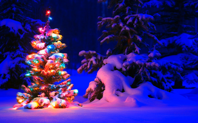 Christmas tree snow blue background free wallpaper for desktop - medium preview image