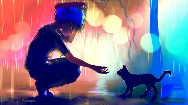 Boy kneeling cat rain colorful free wallpaper for desktop - medium preview image
