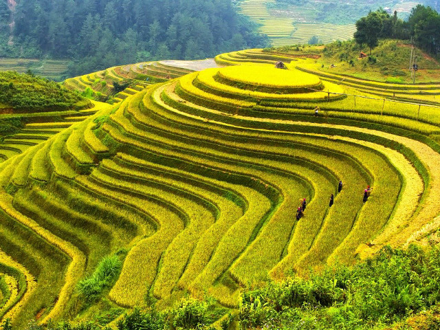 People walking hill grass trees free wallpaper for desktop - medium preview image