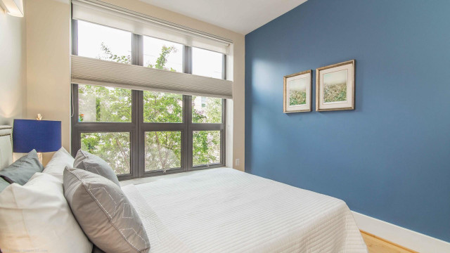 Bedroom window trees blue wall free wallpaper for desktop - medium preview image