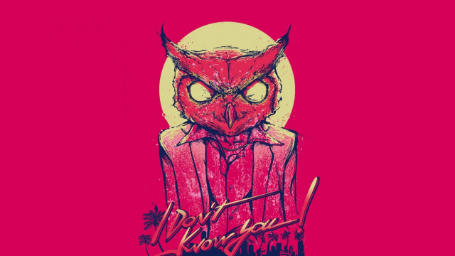 Red owl red shirt red free wallpaper for desktop - medium preview image