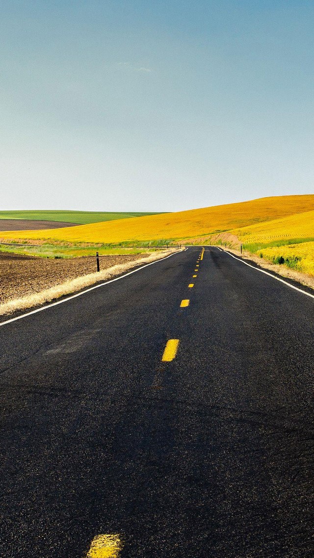 Long road yellow line field free wallpaper for mobile - medium preview image
