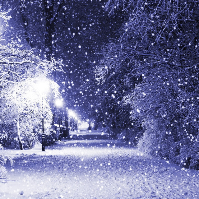 Snowy night streetlight trees falling free wallpaper for tablet - medium preview image