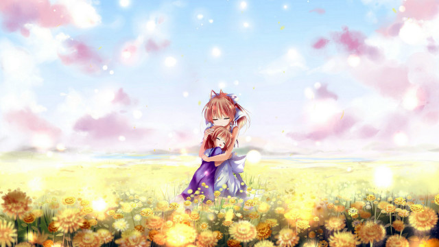 Girl cat field flowers sky free wallpaper for desktop - medium preview image